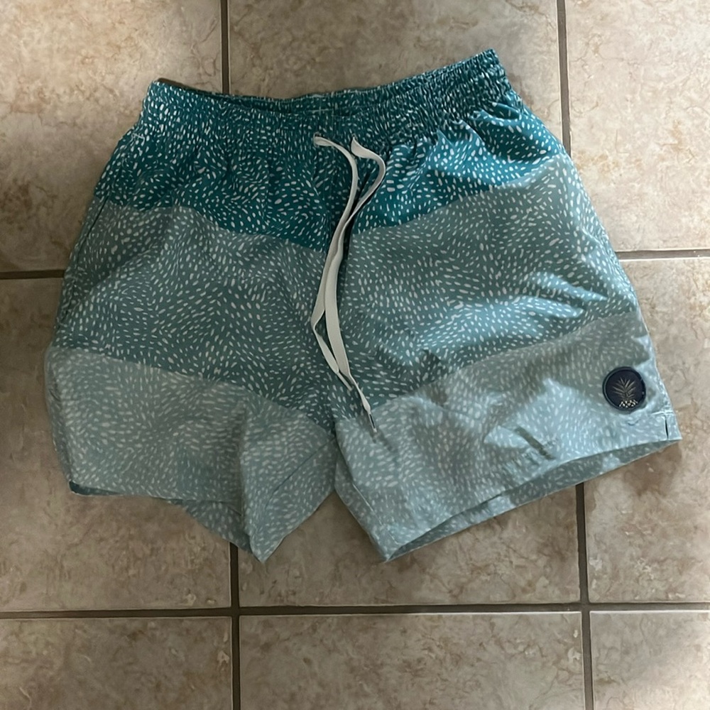 Chubbies 5.5 inseam swim trunks